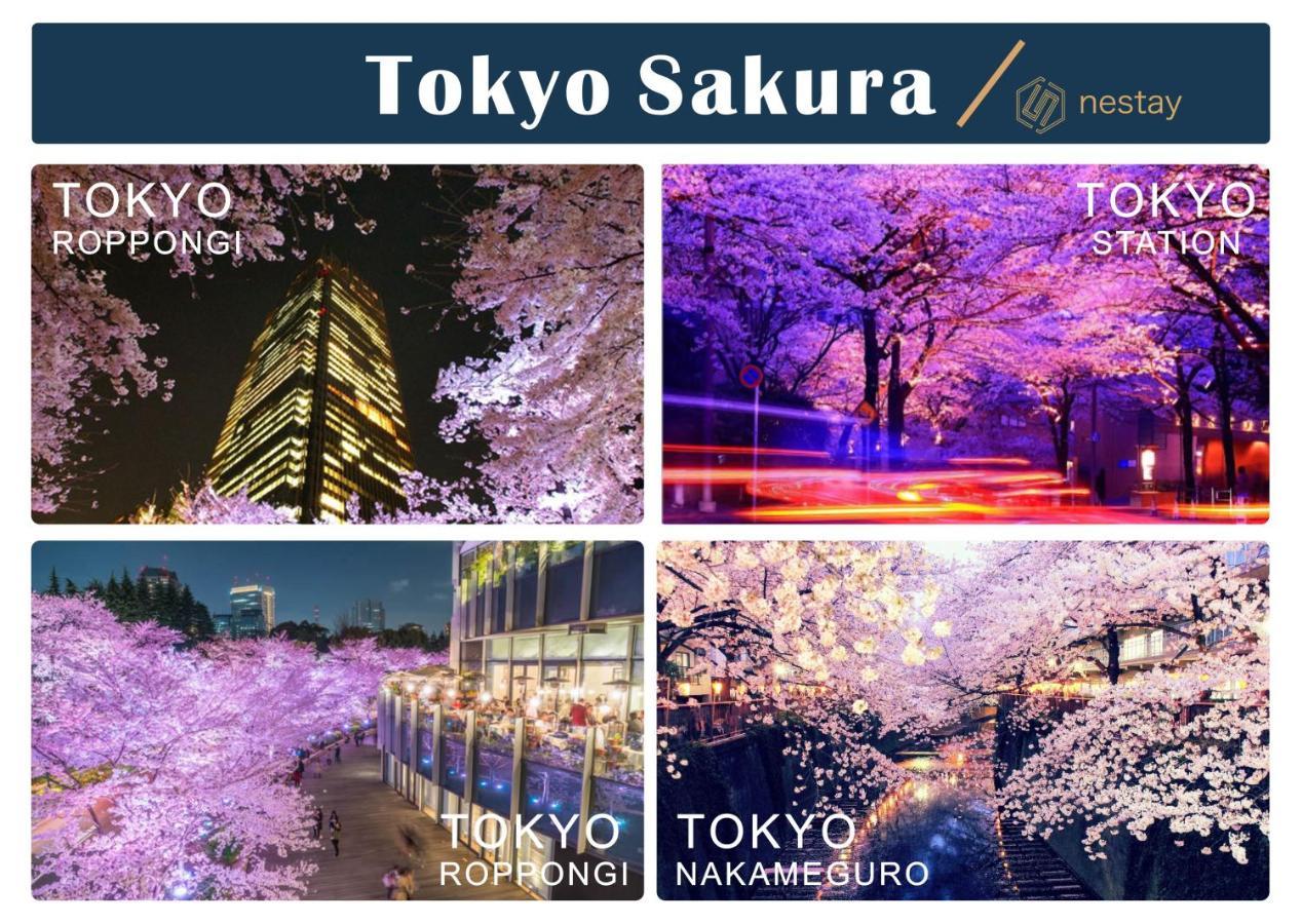 Nestay Villa Tokyo Shinjuku Екстер'єр фото